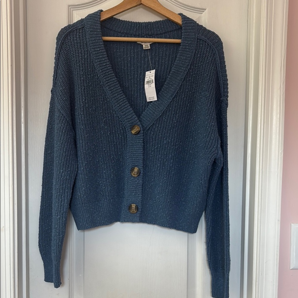 American Eagle Outfitters Blue Cropped Cardigan Sweater